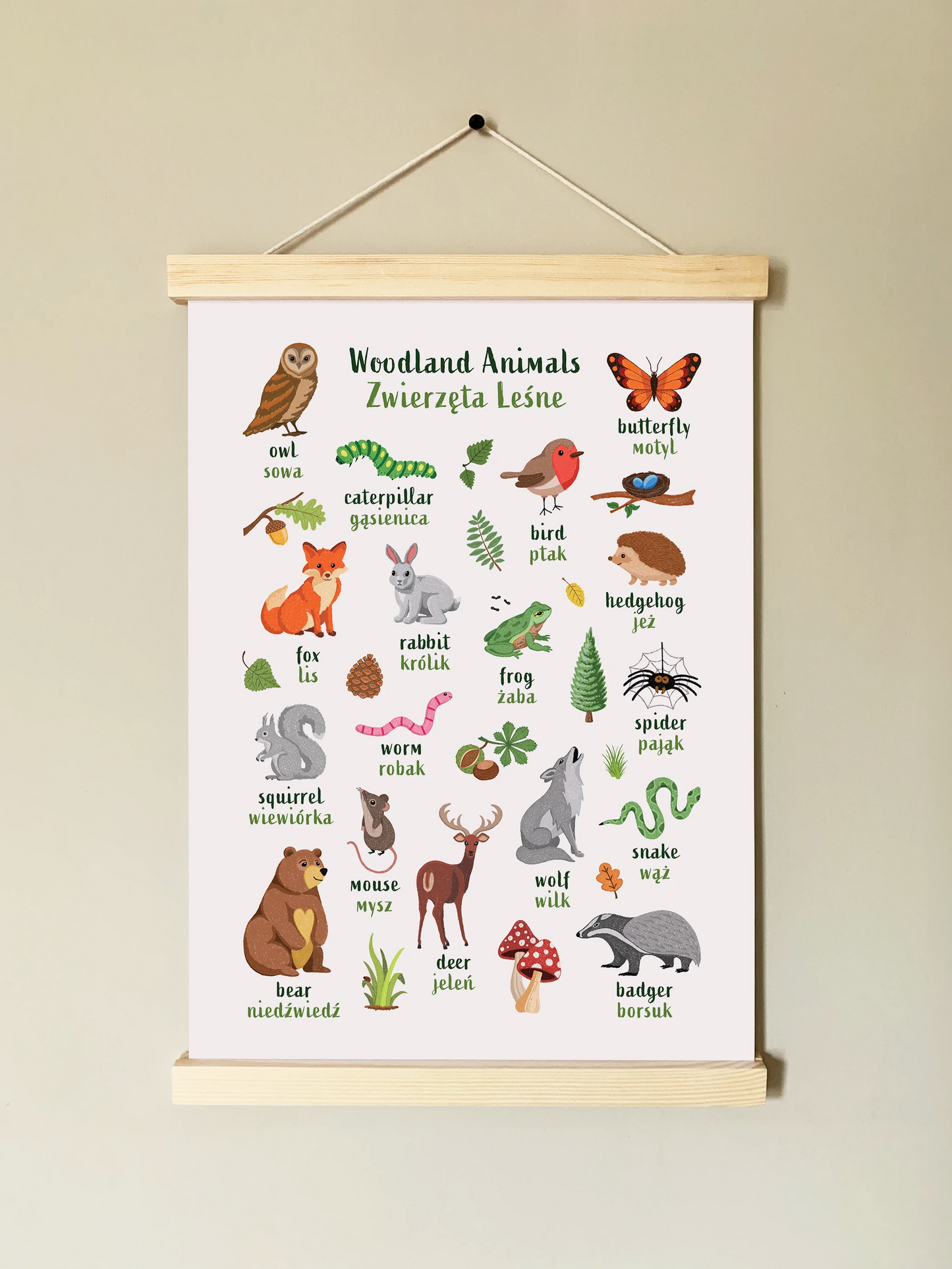 Learn English & Polish with Woodland Animals Poster