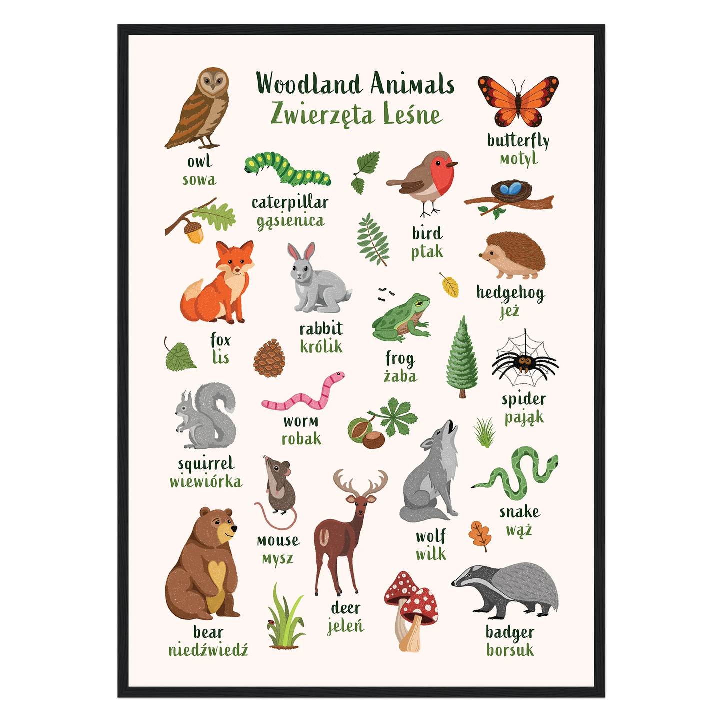Learn English & Polish with Woodland Animals Poster