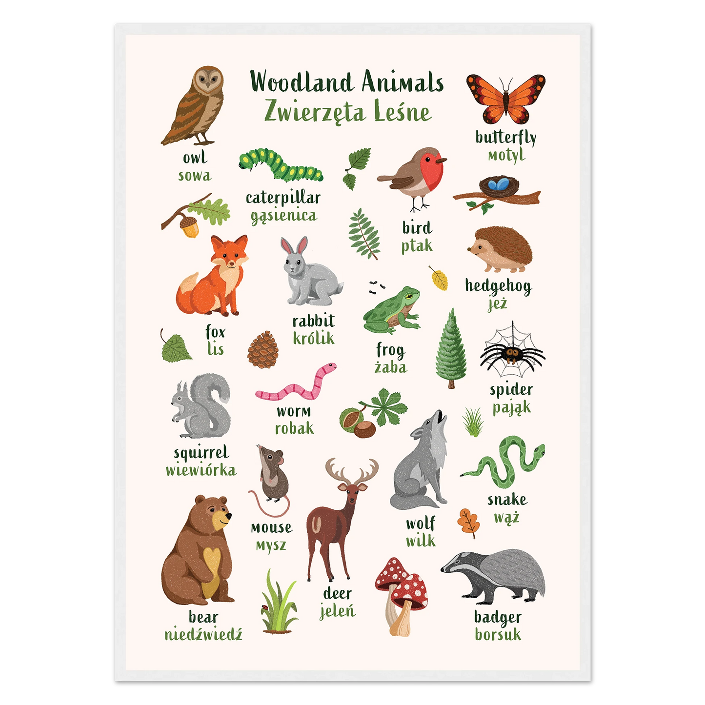 Learn English & Polish with Woodland Animals Poster