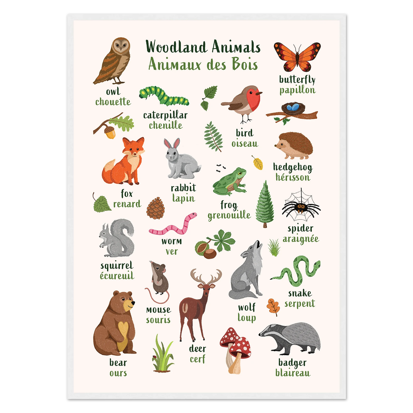 Learn English & French with Woodland Animals Poster