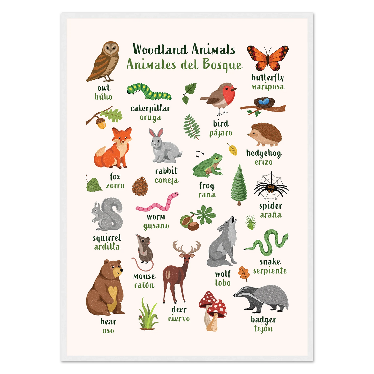 Learn English & Spanish with Woodland Animals Poster