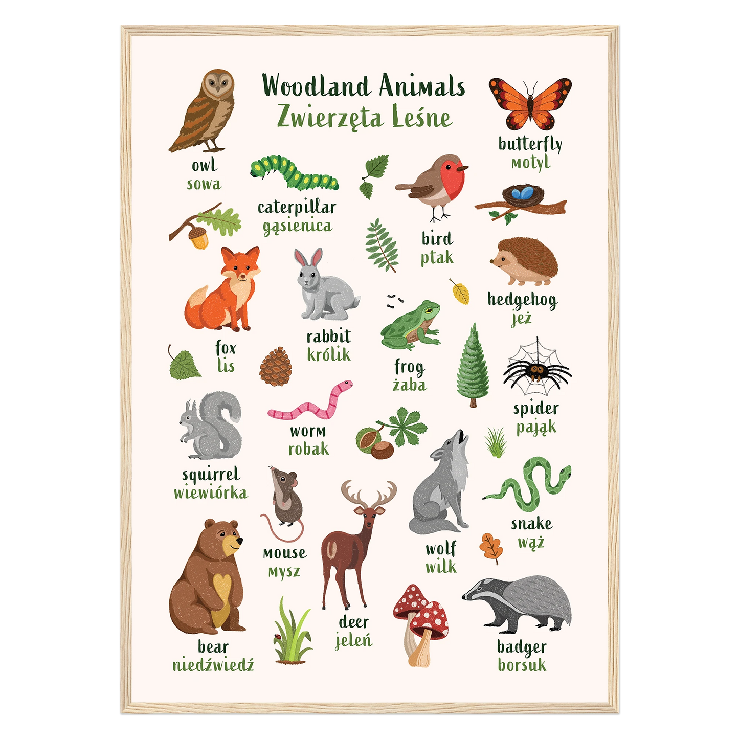 Learn English & Polish with Woodland Animals Poster