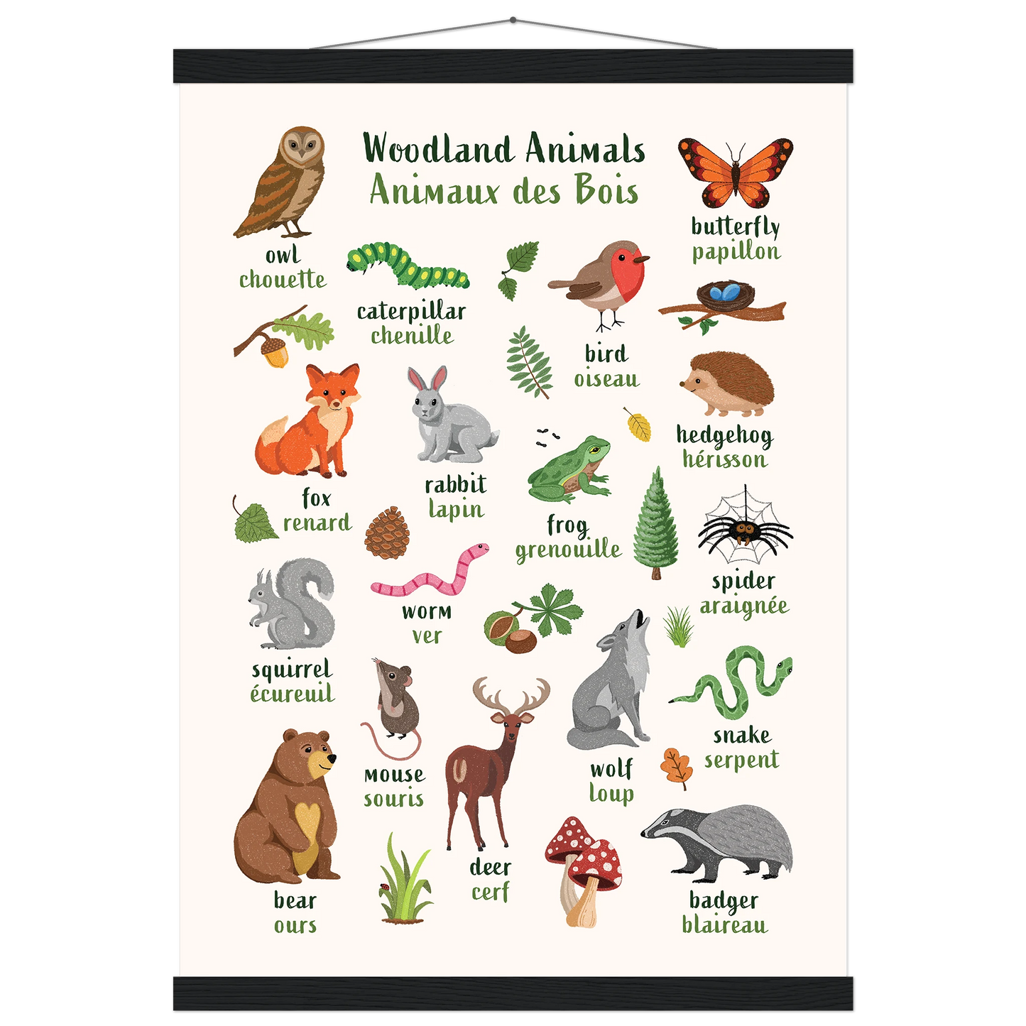 Learn English & French with Woodland Animals Poster