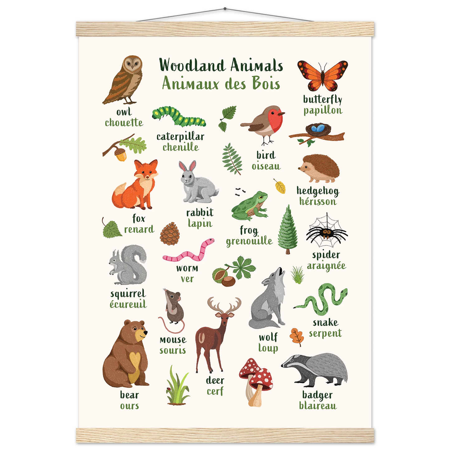 Learn English & French with Woodland Animals Poster