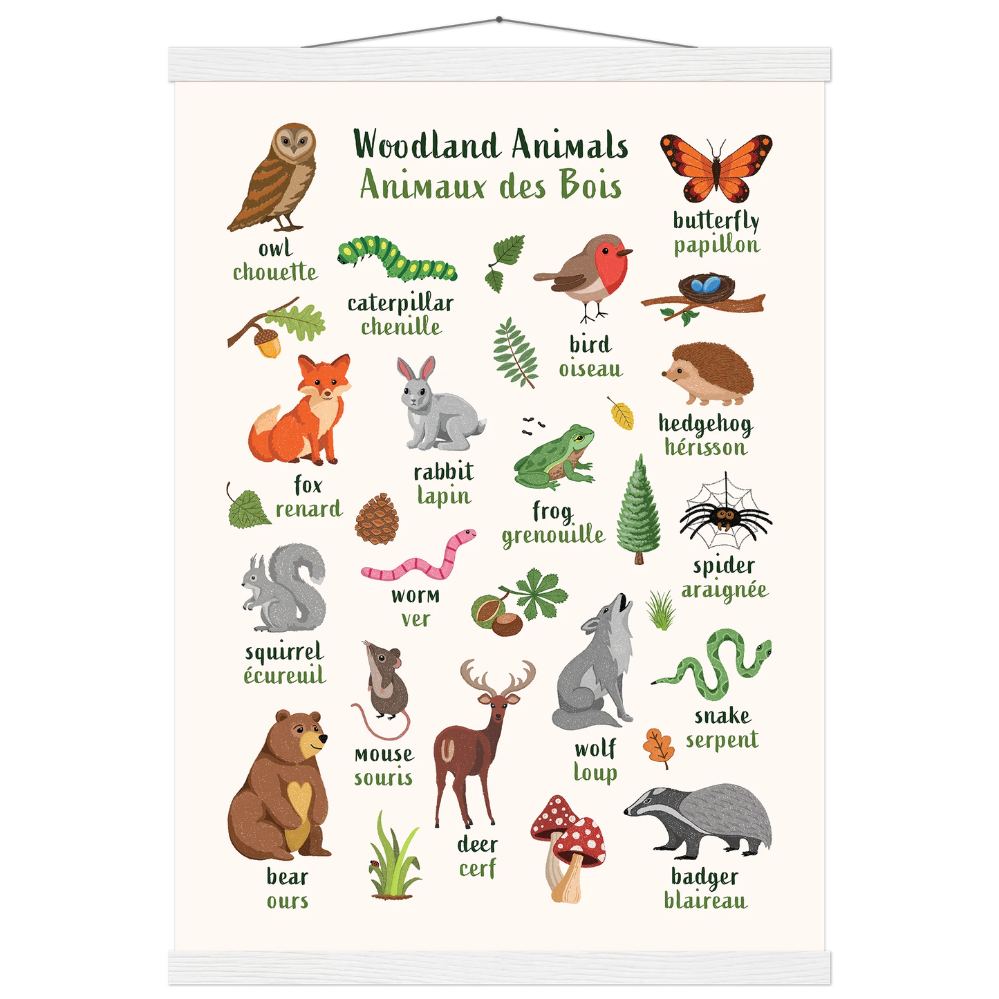 Learn English & French with Woodland Animals Poster