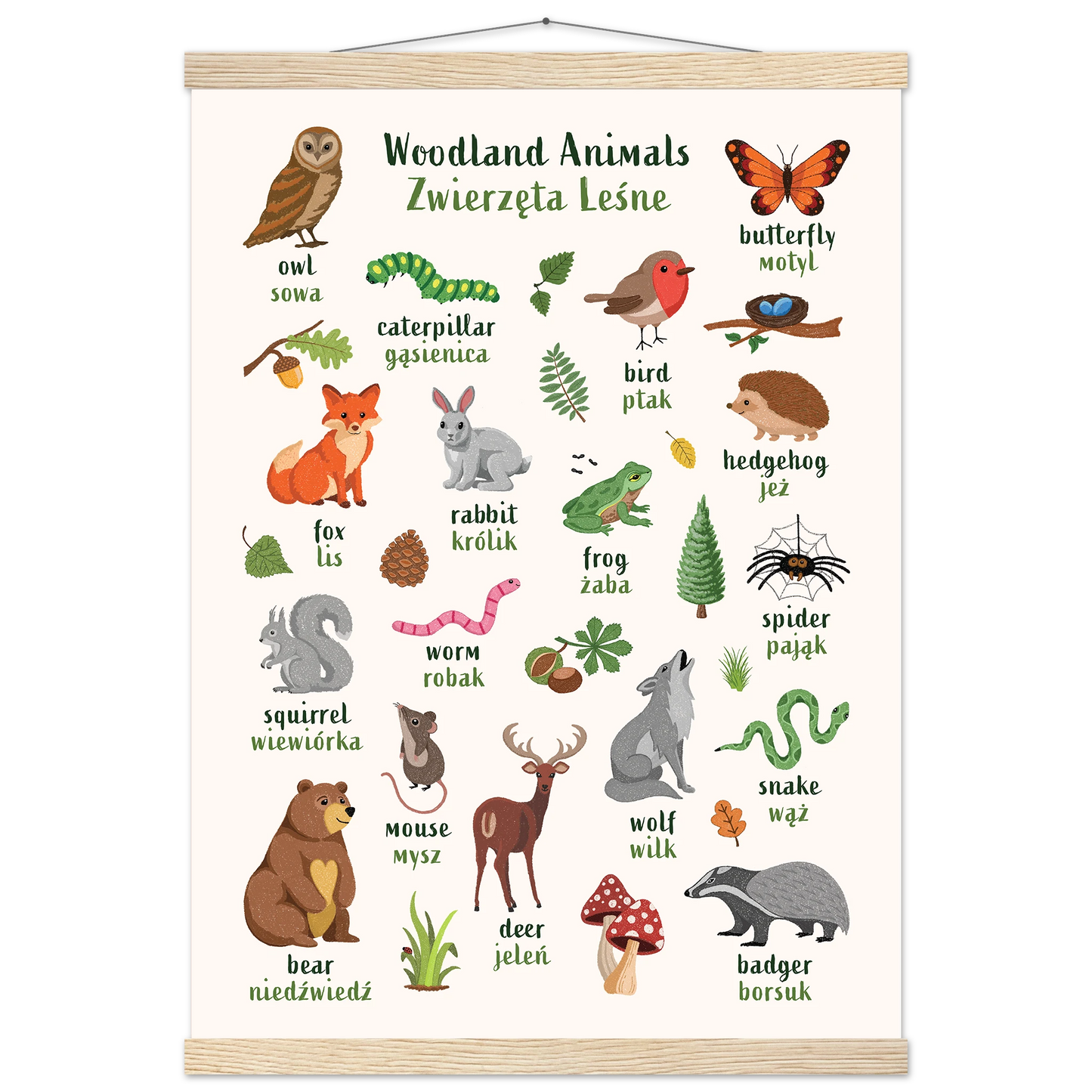 Learn English & Polish with Woodland Animals Poster