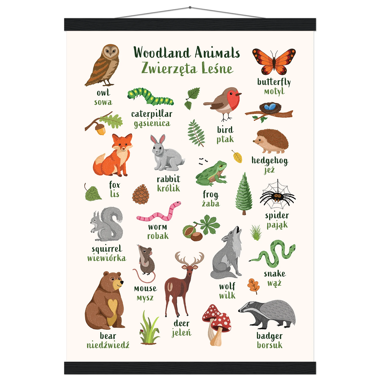 Learn English & Polish with Woodland Animals Poster