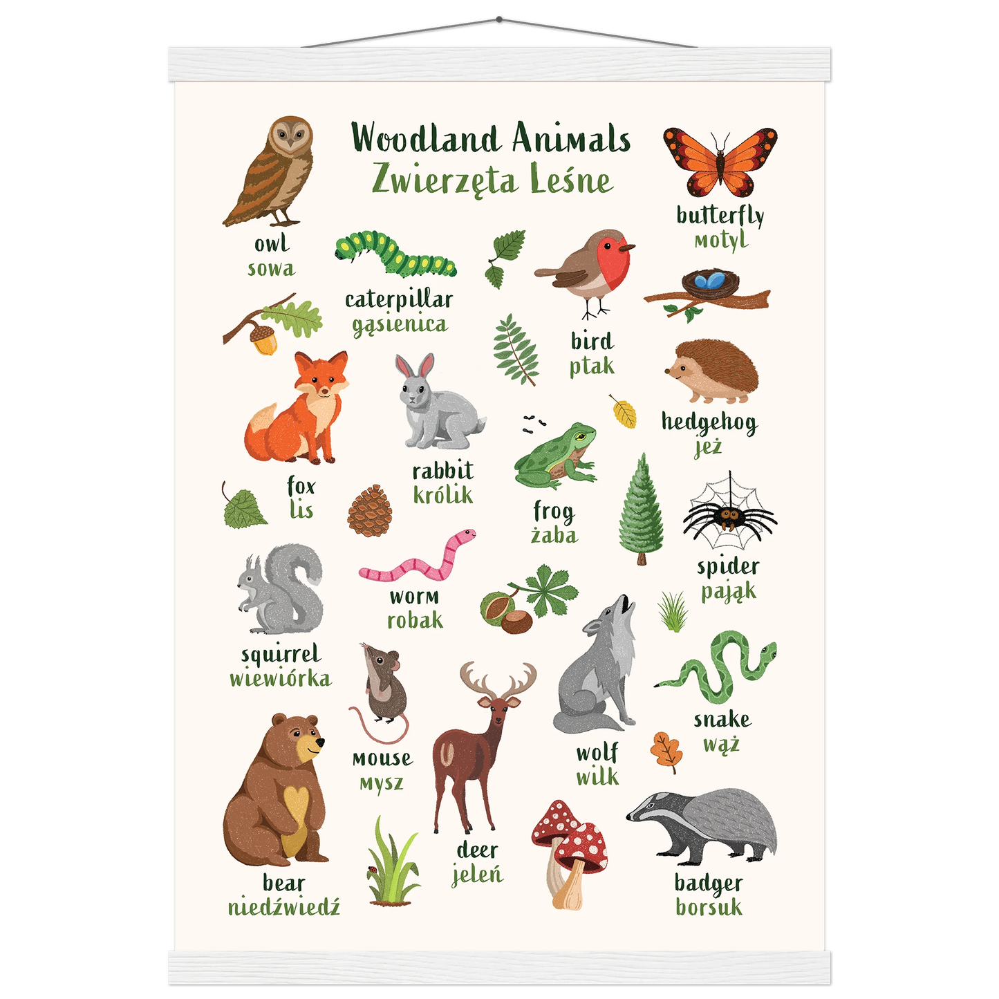 Learn English & Polish with Woodland Animals Poster