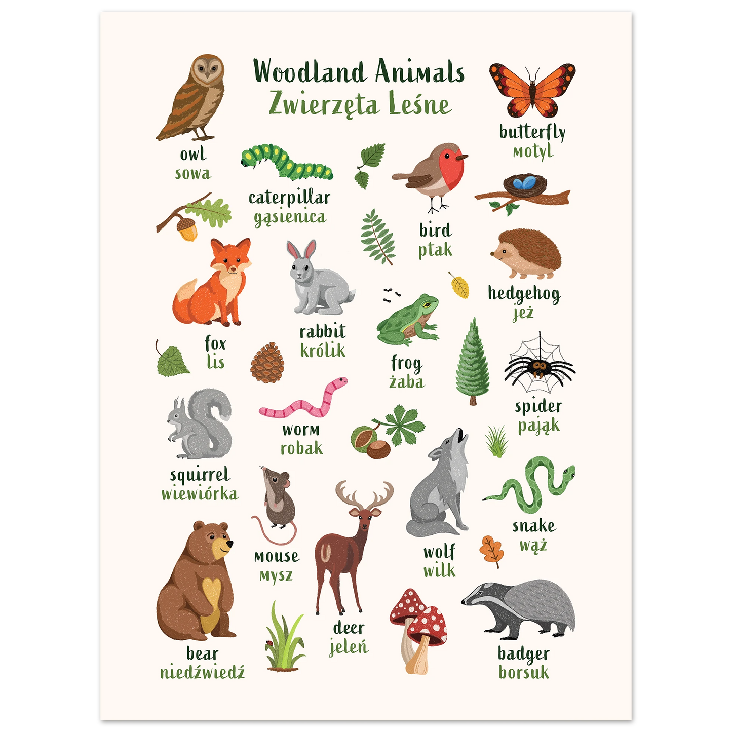 Learn English & Polish with Woodland Animals Poster