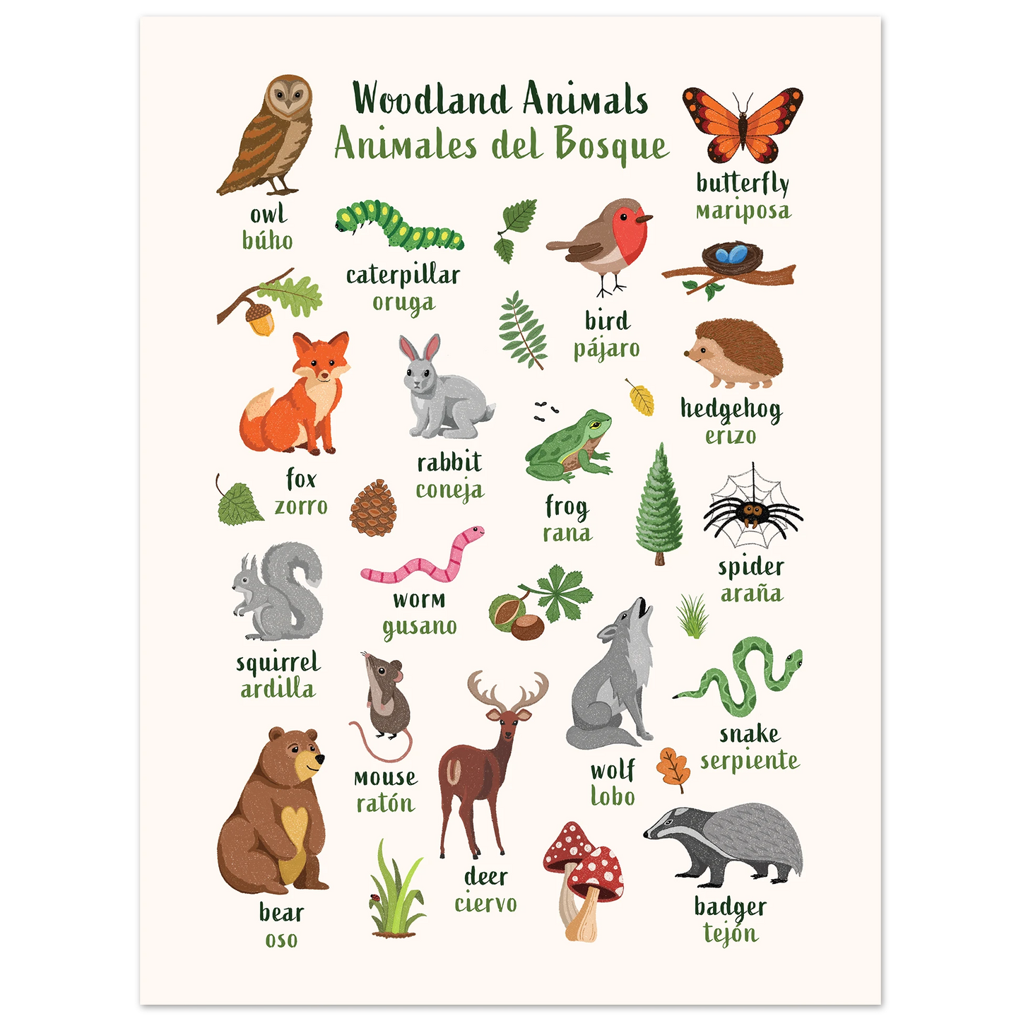 Learn English & Spanish with Woodland Animals Poster