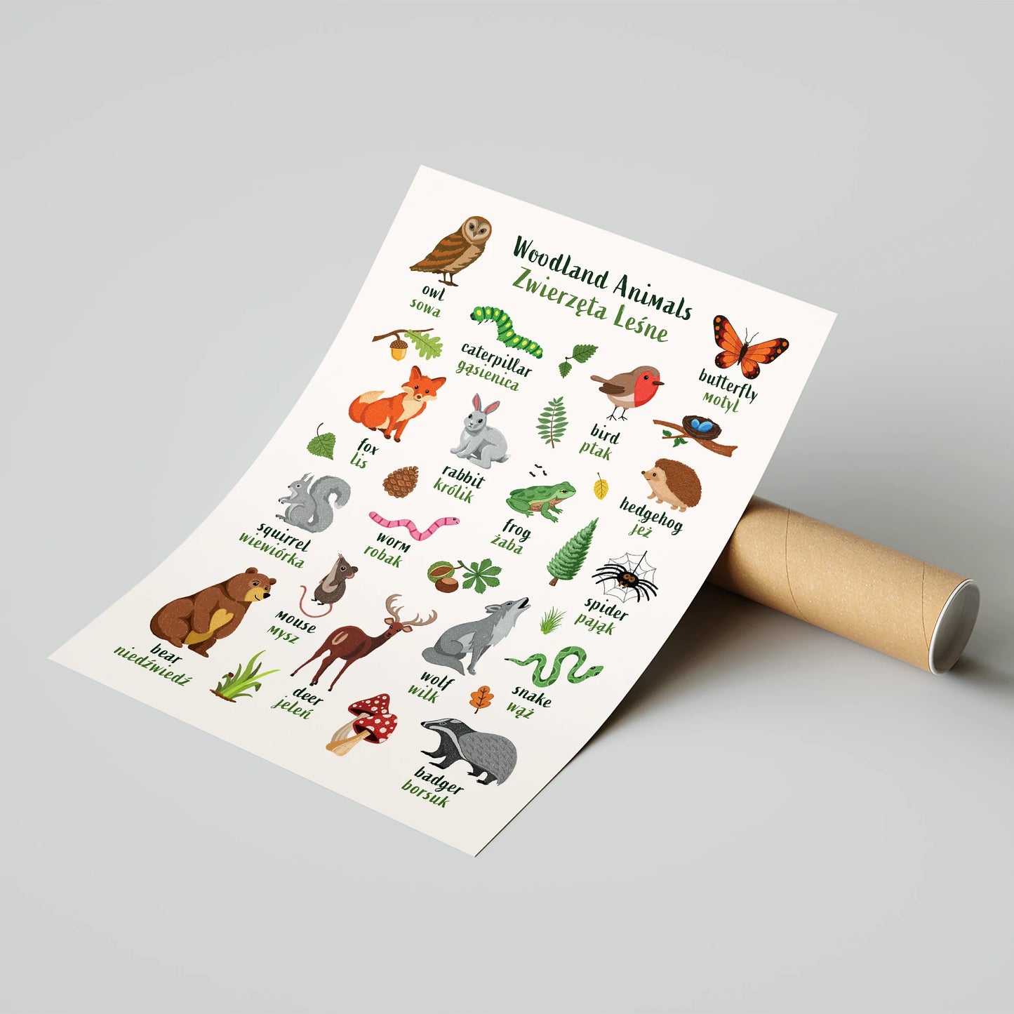 Learn English & Polish with Woodland Animals Poster