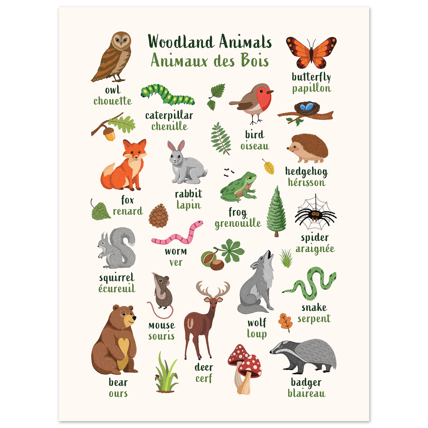 Learn English & French with Woodland Animals Poster
