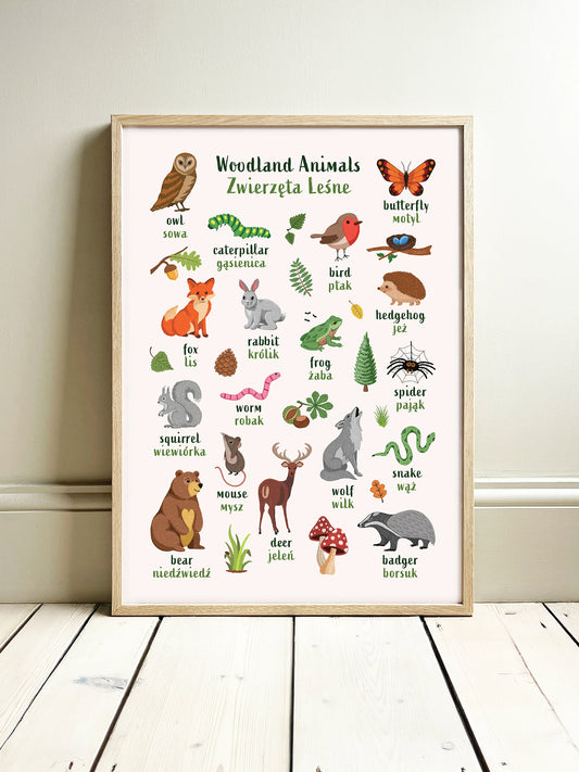 Learn English & Polish with Woodland Animals Poster