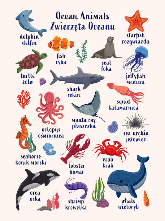 Learn English & Polish with Ocean Animals Poster